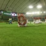 vsＩＢＭビッグブルー