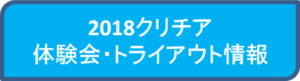 クリチア日記