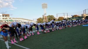 vs  電通キャタピラーズ